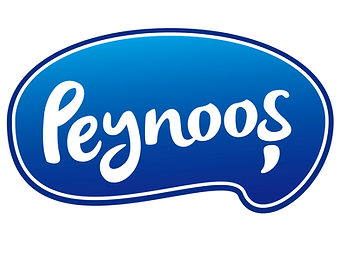 Peynoos Logo 1