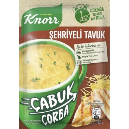 Knorr Chicken Flavored Noodle Quick Soup 17Grx24 – Distributor In New Jersey, Florida - California, USA